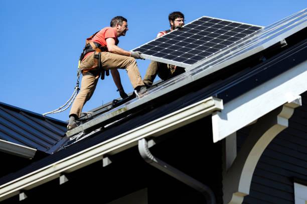 Best Storm Damage Roof Repair  in Wacousta, MI